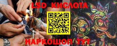 Альфа ПВП Обь