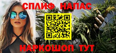 Альфа ПВП Обь