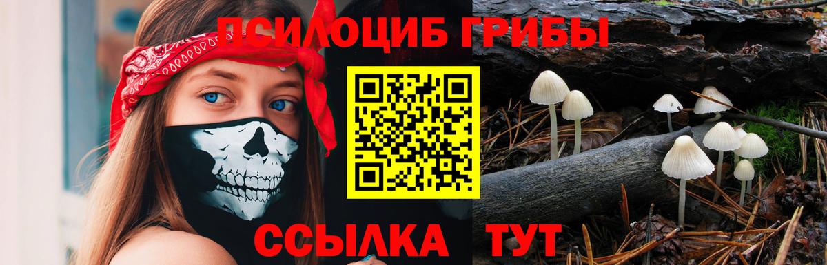 Галлюциногенные грибы прущие грибы  Вход с VPN  купить наркоту  Соль-Илецк 